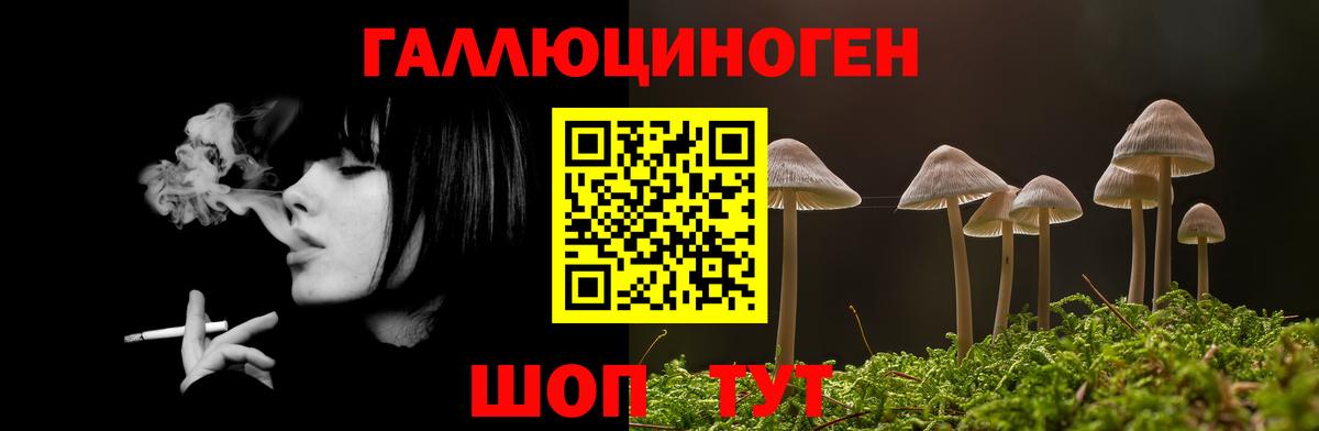 Бирск  Галлюциногенные грибы мицелий  Псилоцибиновые грибы ЛСД  цены наркотик  Вход с VPN 